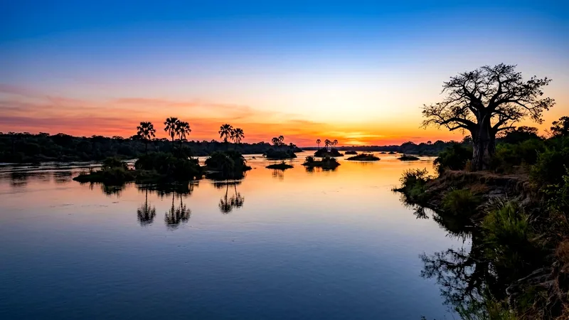 Upper Zambezi River at sunset with islands, palms and a baobab tree